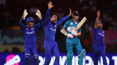 নিউজিল্যান্ডকে গুঁড়িয়ে আফগানিস্তানের চমক