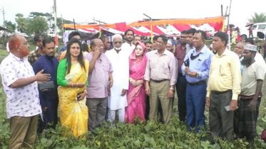 দক্ষিণাঞ্চলের কৃষিতে বিপ্লব ঘটানো হবে: কৃষিমন্ত্রী