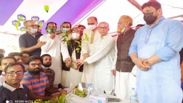প্রকৃতিকে রক্ষা করতে গাছ লাগানোর বিকল্প নেই: আমিনুল ইসলাম