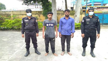 আশুগঞ্জে গরুসহ ২ চোর গ্রেফতার, প্রাইভেটকার জব্দ