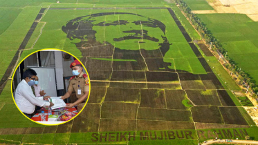 ‘শস্যচিত্রে বঙ্গবন্ধু’ চিত্রকর্মে সম্পৃক্ত ক্যাডেটদের সম্মাননা