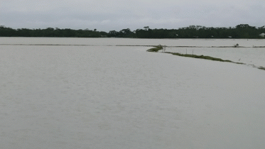 বাগেরহাটে টানা বর্ষণ ও জোয়ারের পানিতে নিন্মাঞ্চল প্লাবিত