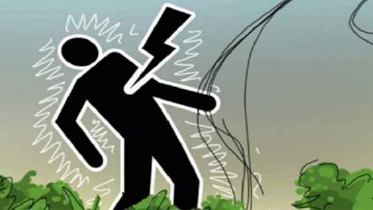 শার্শায় বিদ্যুৎস্পৃষ্টে নিহত ১   