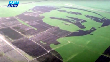 ‘শস্যচিত্রে বঙ্গবন্ধু’ (ভিডিও)