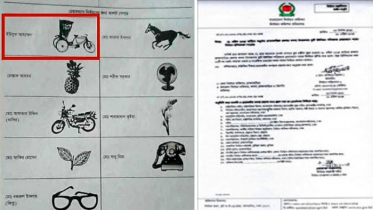 ব্যালট পেপারে ভুল প্রতীক, কসবায় চেয়ারম্যান পদে নির্বাচন স্থগিত