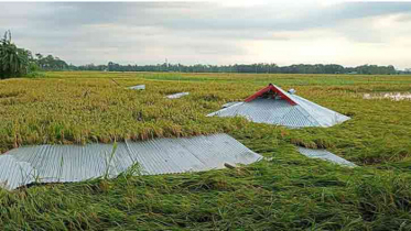 কালবৈশাখীর তাণ্ডবে লণ্ডভণ্ড নাসিরনগর