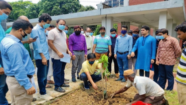 বিশ্ব পরিবেশ দিবসে ৩১তম বিসিএস ক্যাডার অ্যাসোসিয়েশনের বৃক্ষরোপণ 