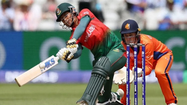 নেদারল্যান্ডসকে হারিয়ে বিশ্বকাপে শুভ সূচনা বাংলাদেশের নেদারল্যান্ডসকে হারিয়ে বিশ্বকাপে শুভ সূচনা বাংলাদেশের
