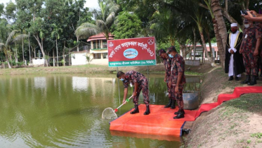 শ্রীমঙ্গল বিজিবি ব্যাটালিয়ানের মাছের পোনা অবমুক্তকরণ