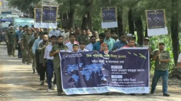 নোয়াখালীতে বিশ্ব পরিযায়ী পাখি দিবস পালিত 