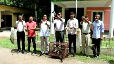 মুক্ত আকাশে উড়ে গেল ২৫টি ঘুঘু পাখি 