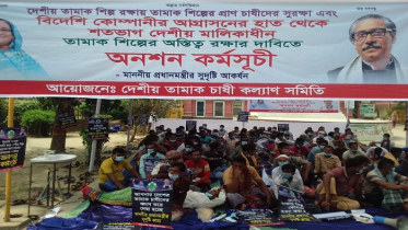 কুষ্টিয়ায় তামাক চাষীদের অনশন