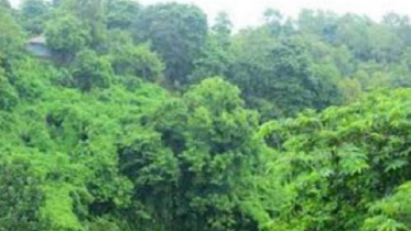 বনভূমিতে ৭০০ একর জমি বরাদ্দের আদেশ স্থগিত