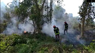 পুড়ে গেল লাউয়াছড়ার দুই একর গাছপালা