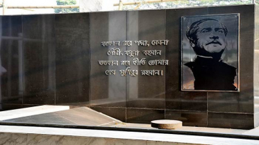 জাতীয় শোক দিবসে আওয়ামী লীগের কর্মসূচি