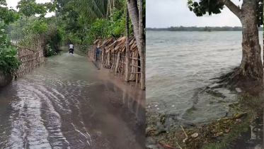 ভান্ডারিয়াসহ পিরোজপুরের বিভিন্ন উপজেলা প্লাবিত