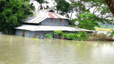 বেতাগীতে বেড়িবাঁধ ভেঙ্গে লোকালয় প্লাবিত, মৃত্যু ১ 