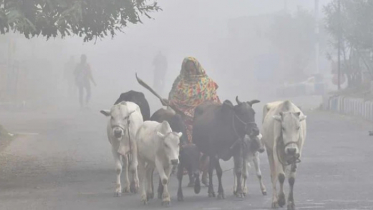 বৃষ্টিপাত ছাড়াও মাসজুড়ে থাকবে শীত