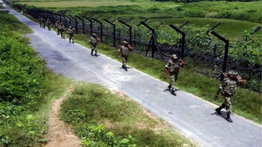 মহেশপুর সীমান্তে বিএসএফের হাতে ৩ বাংলাদেশী আটক