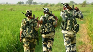 বিএসএফের ছোঁড়া ককটেলে বাংলাদেশি যুবক আহত