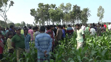 ভুট্টা ক্ষেত থেকে চা দোকানীর মরদেহ উদ্ধার