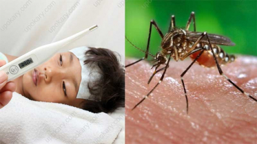 এক মাসের ব্যবধানে ডেঙ্গু রোগী দ্বিগুণ