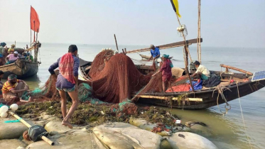 নিষেধাজ্ঞার ২২ দিনে পদ্মা-মেঘানায় ৩৭৪ জেলের কারাদণ্ড