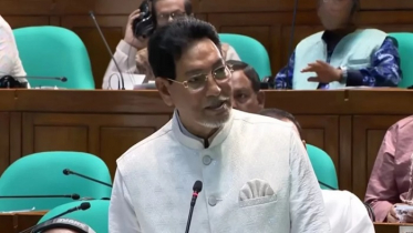 সাগর থেকে দুটি তিমি নিয়ে এসেছি, আরও দুটি হাঙর আসছে: চিফ হুইপ