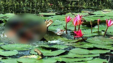 শাপলা ফুল তুলতে গিয়ে শিশুর মৃত্যু