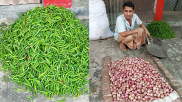 কাঁচা মরিচের ঝাঁজে পুড়ছে চিলমারী