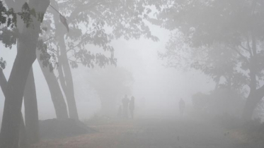 ৭ ডিগ্রি তাপমাত্রা, কাঁপছে চুয়াডাঙ্গা