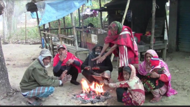 শীতের দাপটে নাকাল চুয়াডাঙ্গার জনজীবন