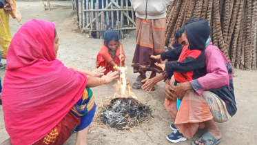 শীতে কাঁপছে চুয়াডাঙ্গা, আজও সর্বনিম্ন তাপমাত্রা এ জেলায়