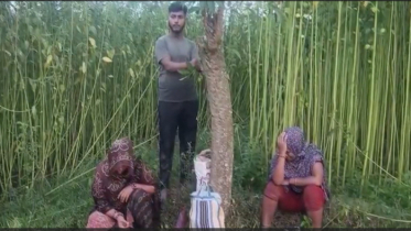 জীবননগরে বিএসএফ’র পুশইনের চেষ্টা প্রতিহত করল বিজিবি জীবননগরে বিএসএফ’র পুশইনের চেষ্টা প্রতিহত করল বিজিবি