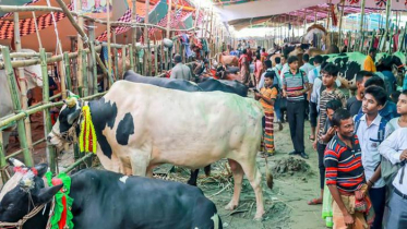 কোরবানির হাট : করোনা ছড়ানোর নতুন উদ্বেগ (ভিডিও)