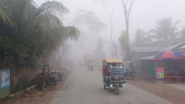 বৃষ্টির মতো পড়ছে কুয়াশা, বাড়ছে শীত