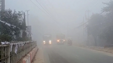 টানা ৯ দিন সুর্যের দেখা নেই, বাড়ছে রোগবালাই