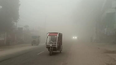 ঘনকুয়াশার সঙ্গে বেড়েছে শীতের তীব্রতা