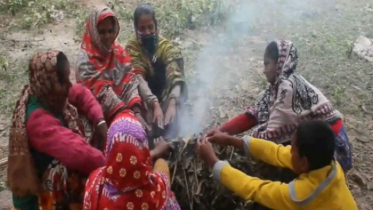 বৃষ্টির মতো ঝড়ছে কুয়াশা, তীব্র ঠাণ্ডায় জবুথবু মানুষ