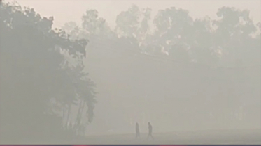 পঞ্চগড়ে বৃষ্টির মতো ঝড়ছে কুয়াশা, দেখা নেই সূর্যের