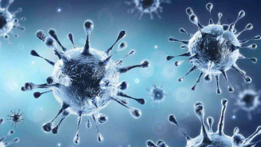 মোংলায় চীনা নাগরিকসহ ২৪ জন করোনাক্রান্ত 