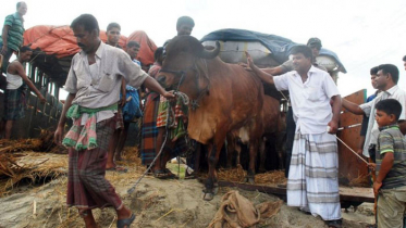 কোরবানির ঈদে মুক্ত থাকুন অশুদ্ধাচার থেকে