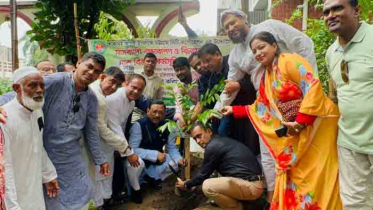 শোকাবহ আগস্টে ২০ হাজার চারা লাগাবে চসিক