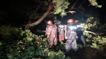 সিত্রাংয়ের তাণ্ডবে প্রাণ গেল ১০ জনের 