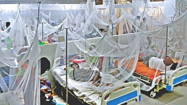 ডেঙ্গু আক্রান্ত হয়ে আরও ৩২১ জন হাসপাতালে