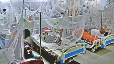 ডেঙ্গু আক্রান্ত আরও ২৪২ জন হাসপাতালে 