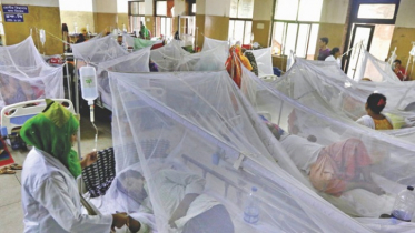 ডেঙ্গুতে আক্রান্ত হয়ে হাসপাতালে আরও ৩০১ জন  