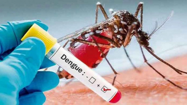 ডেঙ্গু আক্রান্ত আরও ২৩২ রোগী হাসপাতালে 