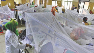 ডেঙ্গু আক্রান্ত আরও ২১৪ জন হাসপাতালে