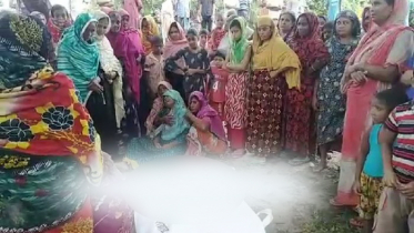 মেহেরপুরে পিকাপভ্যান চাপায় বৃদ্ধার মৃত্যু